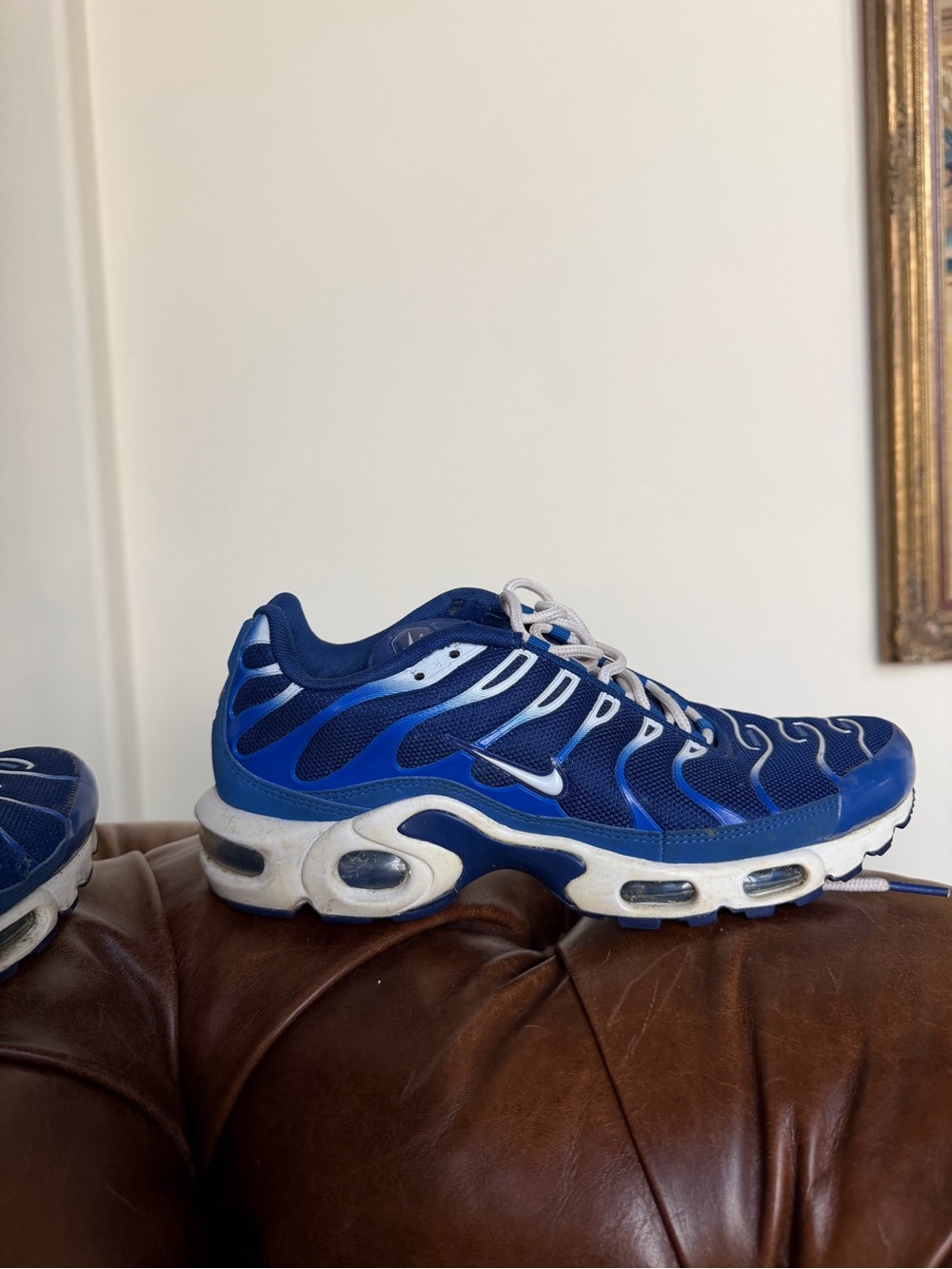 Nike Air Max Plus TN Arctic Chill Men’s Size 8 Royal Blue White - Picture 4 of 12